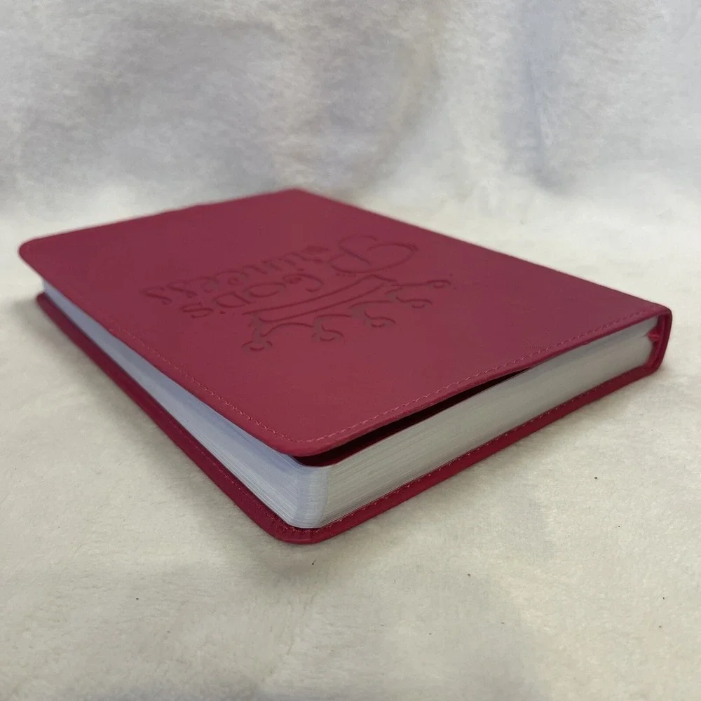 Renewing Minds God's Princess‎ Pink Faux Leather Flex Cover Journal Notebook